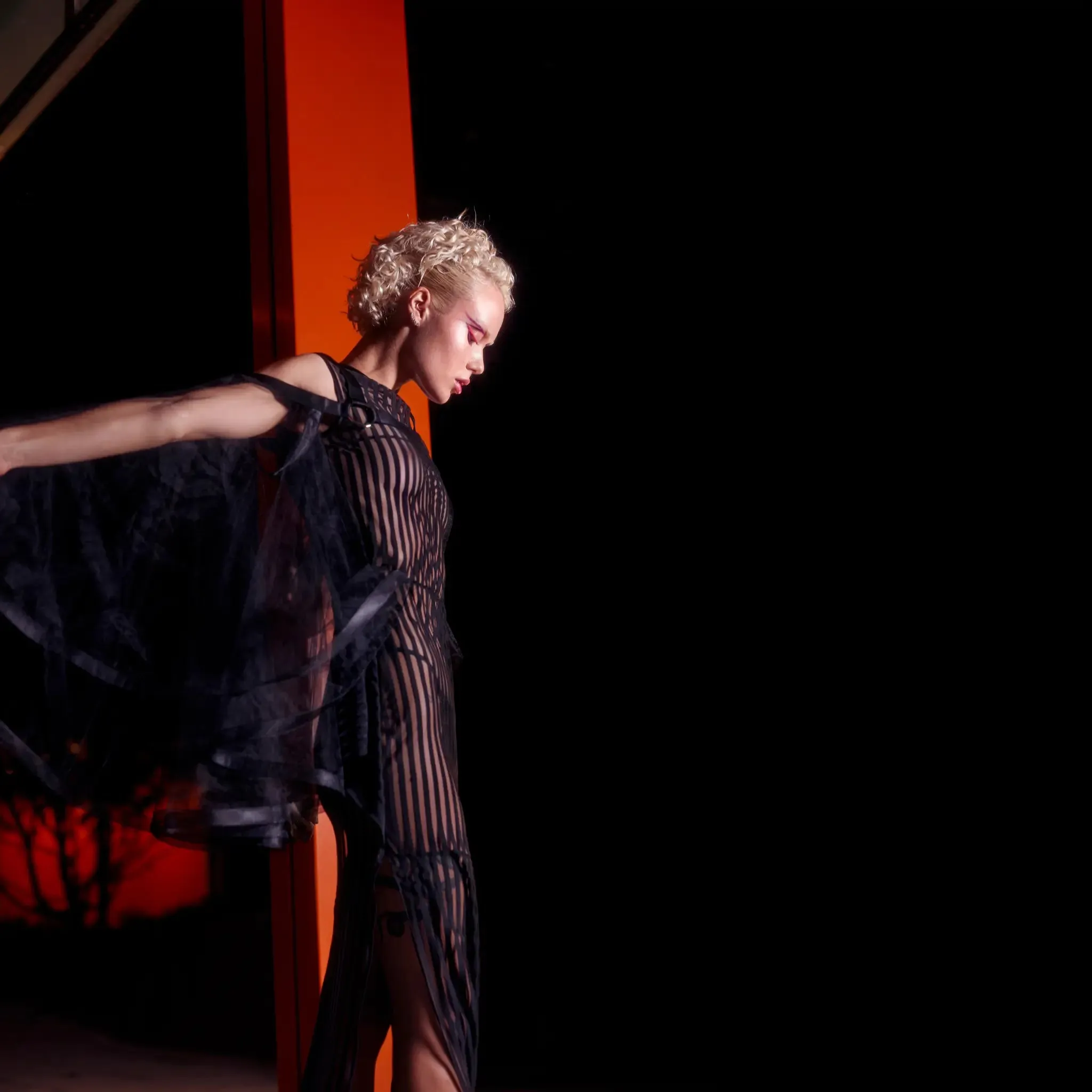 Skyline Sheer Dress - Black