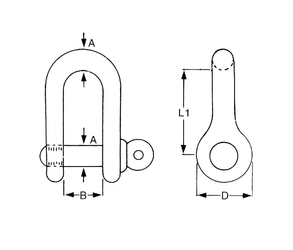 Stainless Steel D Shackle