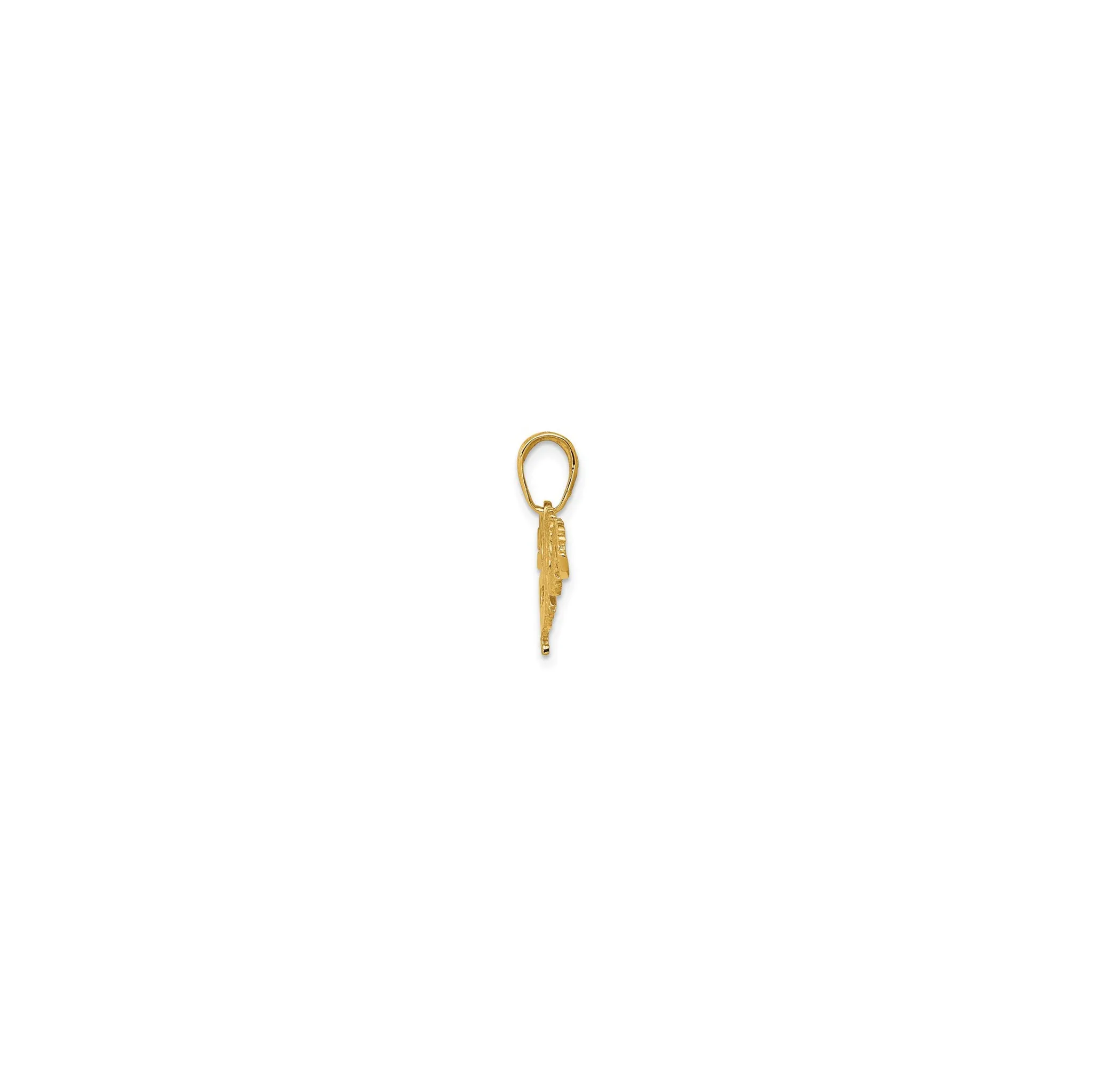Textured Dragon Pendant (14K)
