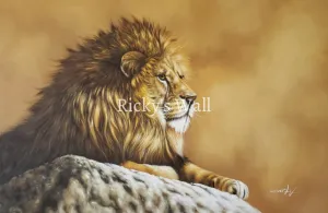 The Lion - HIGH PREMIUM - 36 x 24 in. by Carly S.