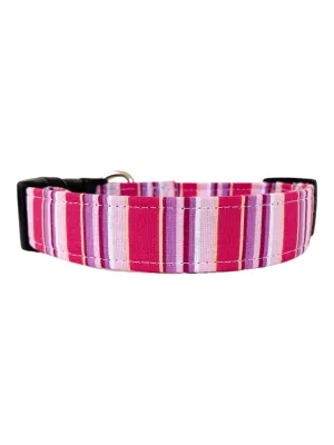 The Smitten Dog Collar