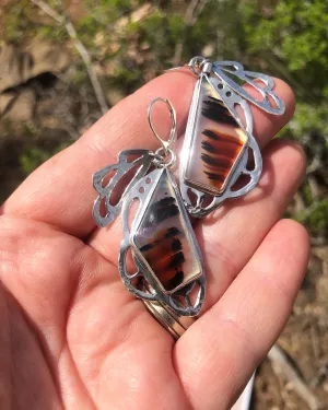Tiger Mimic