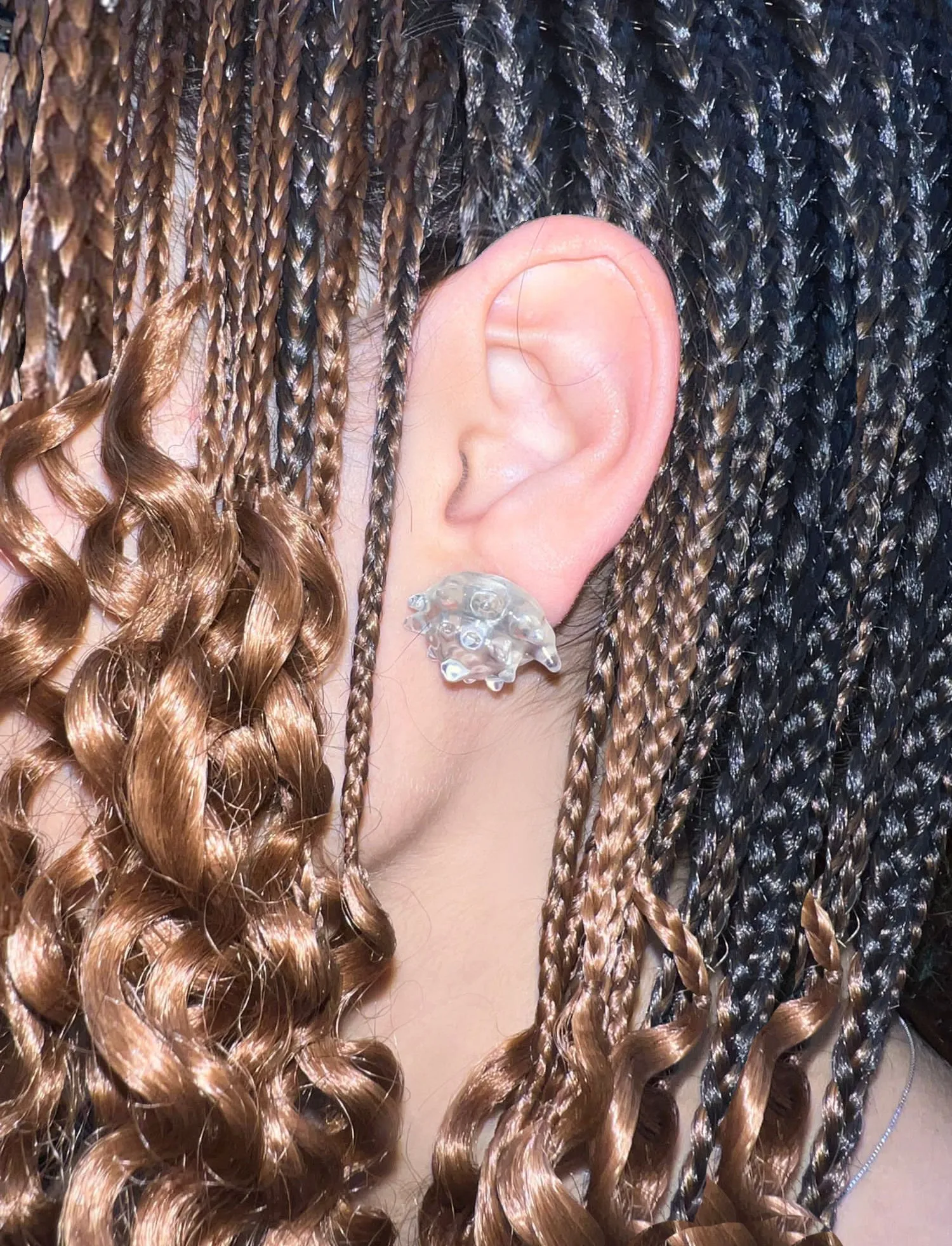 Transparent Shell Earrings