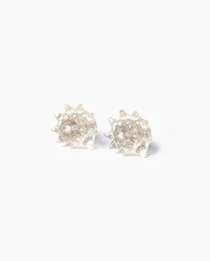 Transparent Shell Earrings