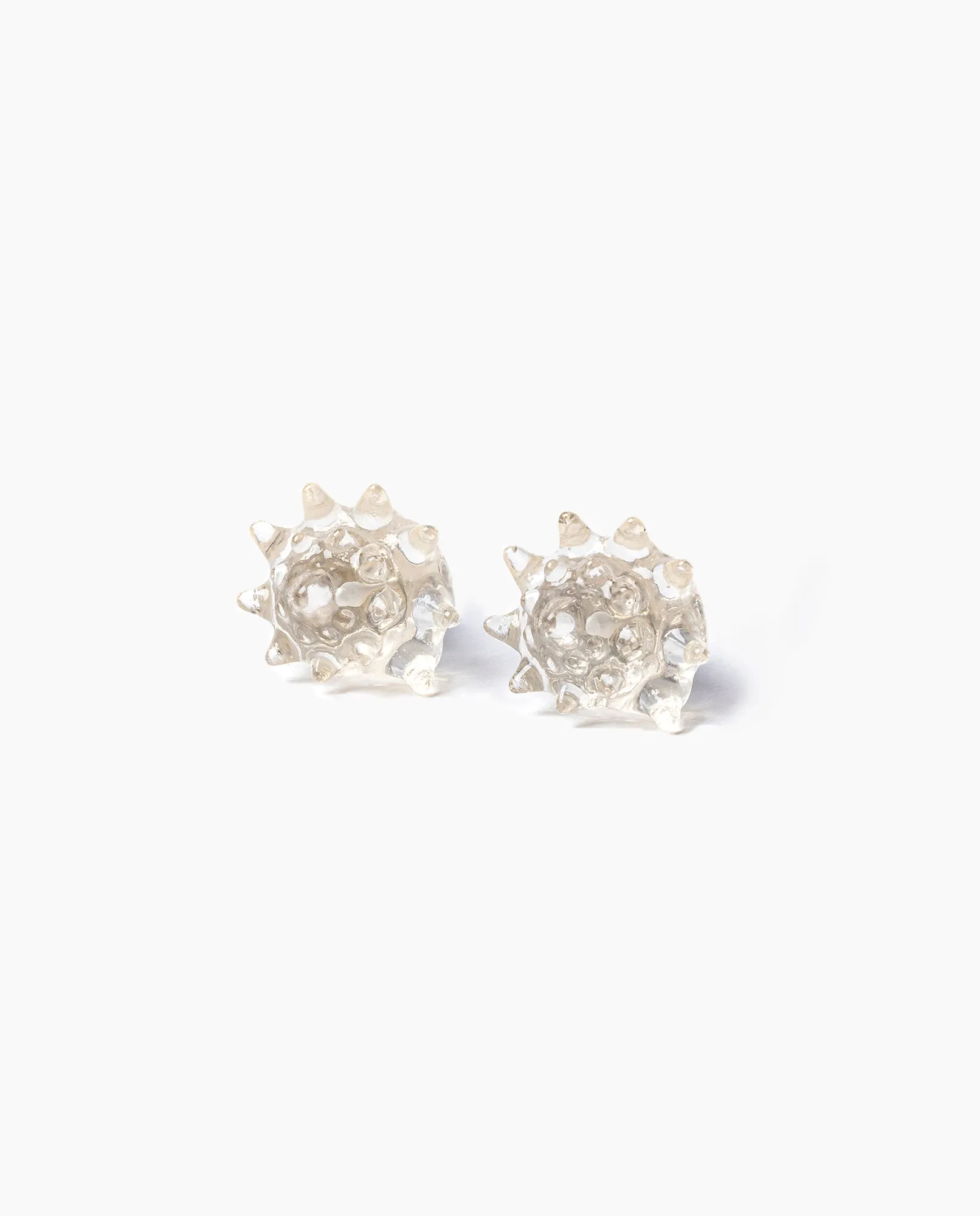 Transparent Shell Earrings
