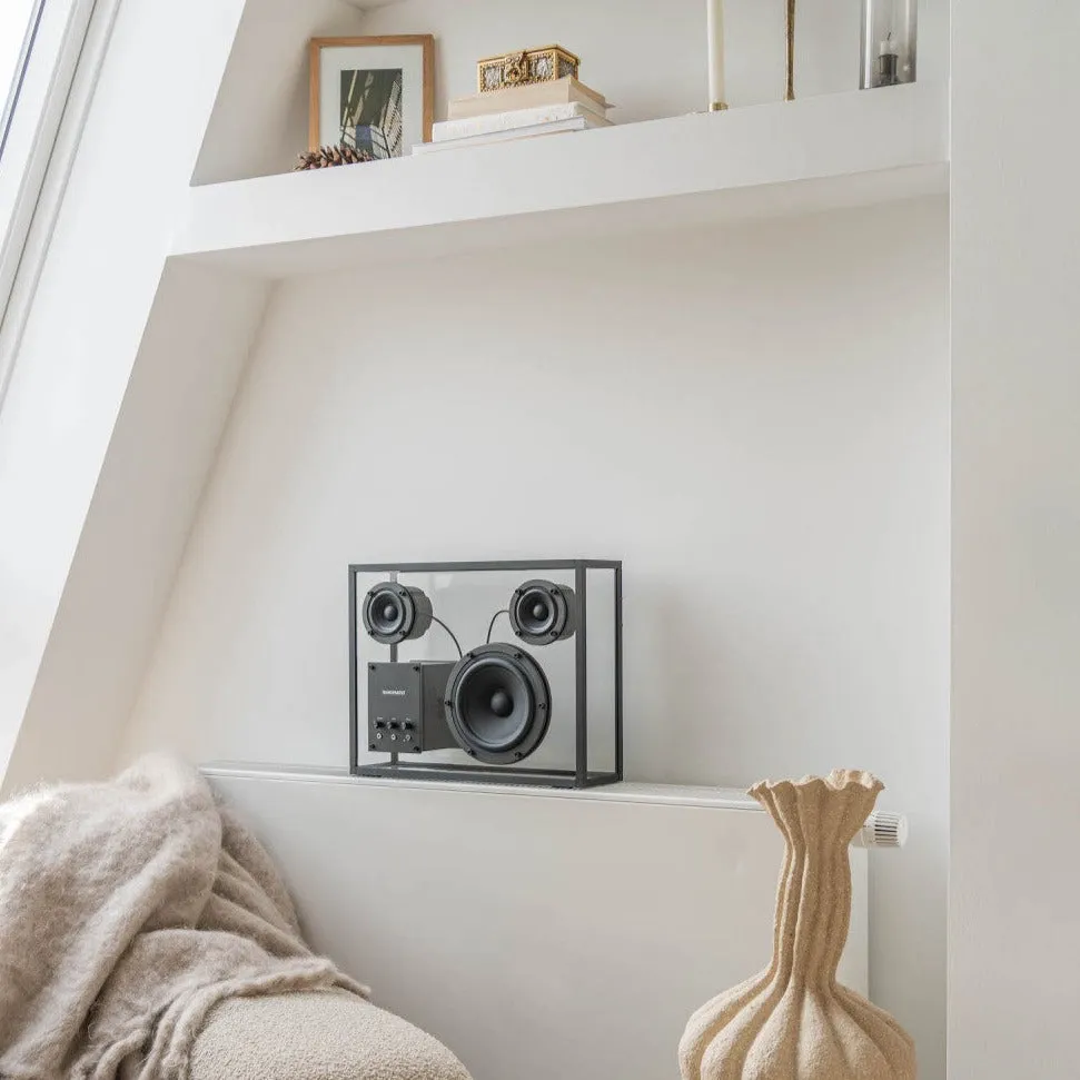Transparent Speaker