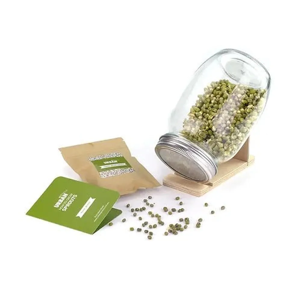 Urban Greens Mung Bean Sprouts Jar Kit