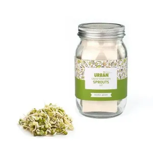 Urban Greens Mung Bean Sprouts Jar Kit