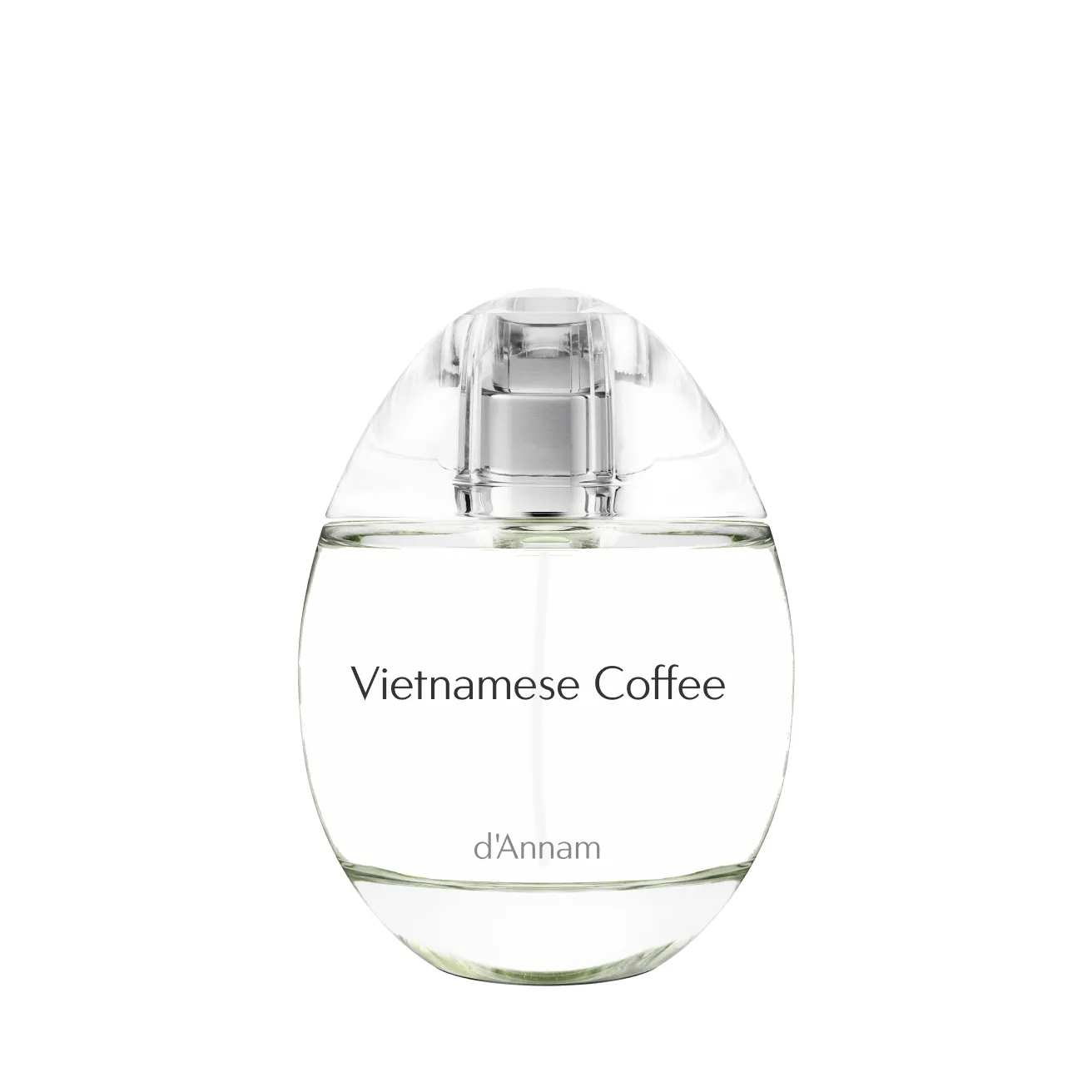 Vietnamese Coffee