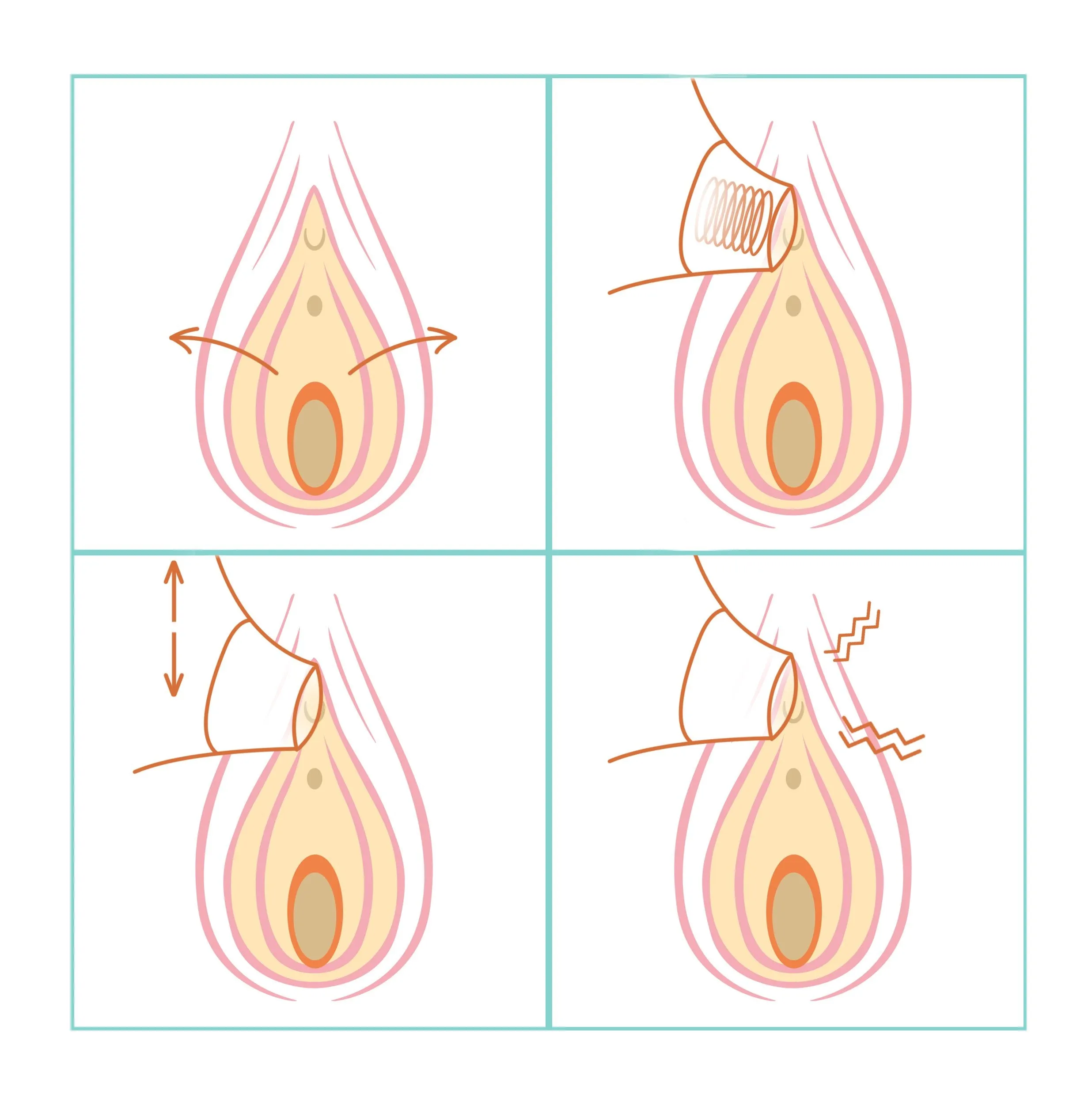 Womanizer Premium 2